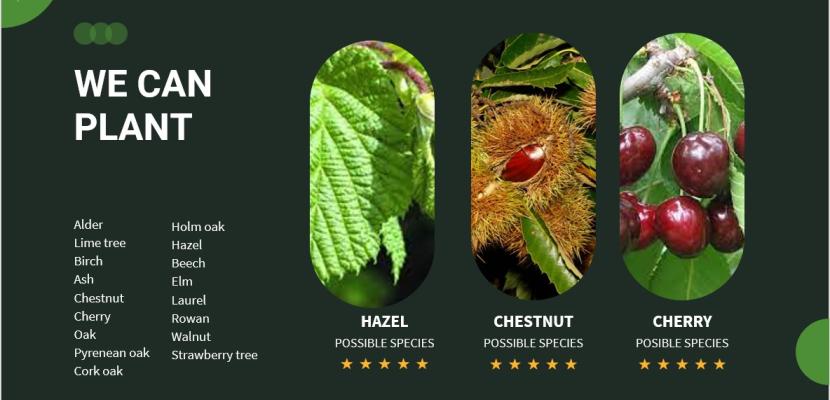 hardwoods against fire species for planting