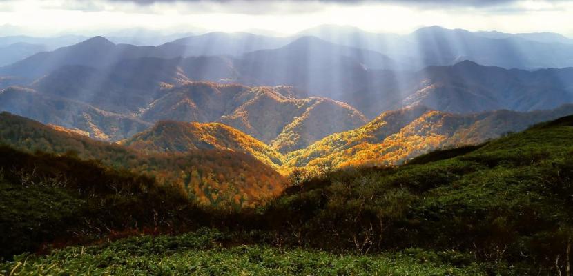 CO2 S.Fo.Ma. Marche - CO2 Stored in Forests Management Marche Forest in Marche Region (Italy)