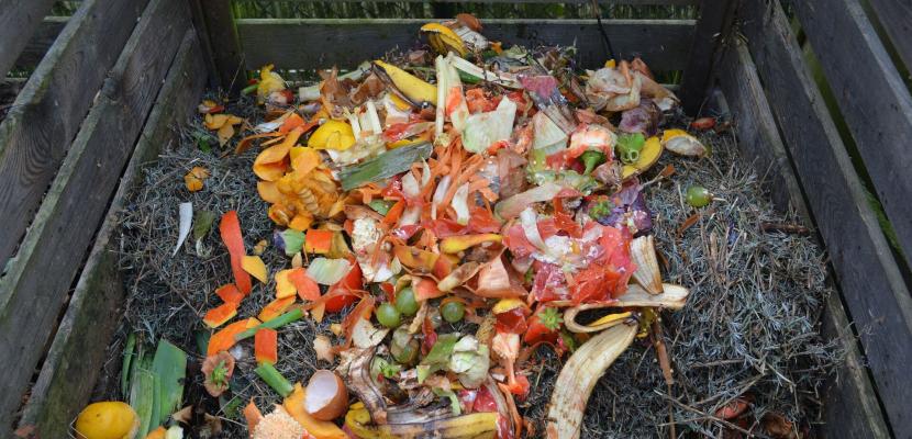 compost compost