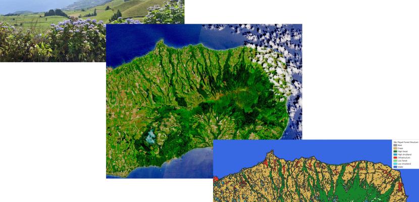 Using satellite data for enhancing the spatial and temporal resolution of forest carbon accounts for increased policy uptake. Using satellite data for enhancing the spatial and temporal resolution of forest carbon accounts for increased policy uptake.