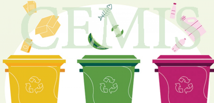 CEMIS Information System Circular Economy Management Information System