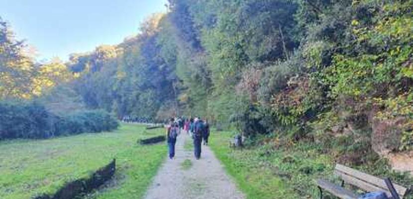 The walking and cycling route ‘La via del Riccio’ View of a walking path in the nature