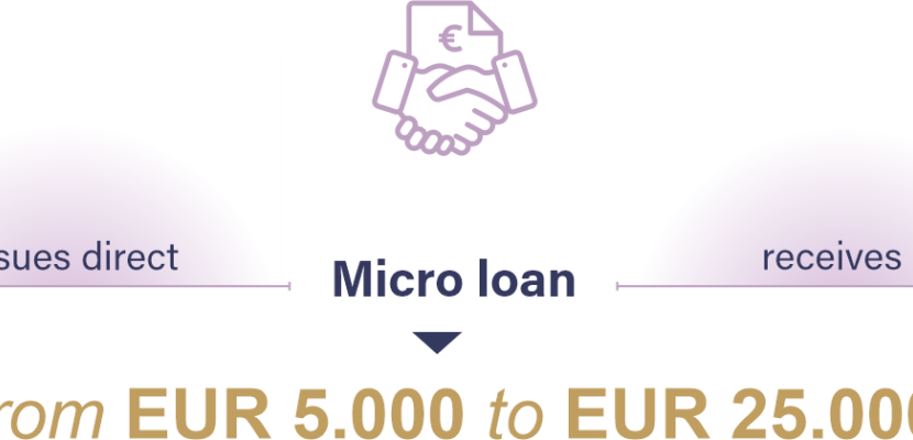 Micro loans Micro loans and loans are taken out by companies directly at SEF