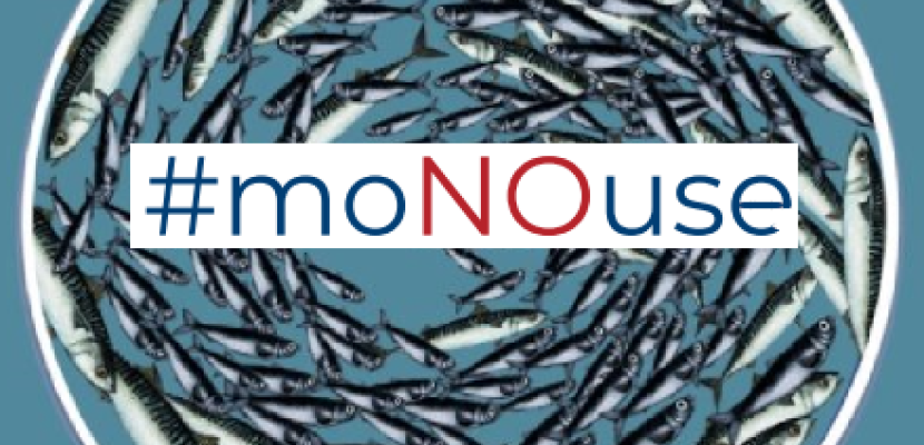 Fish shoal which is the image of the initiative #moNOuse