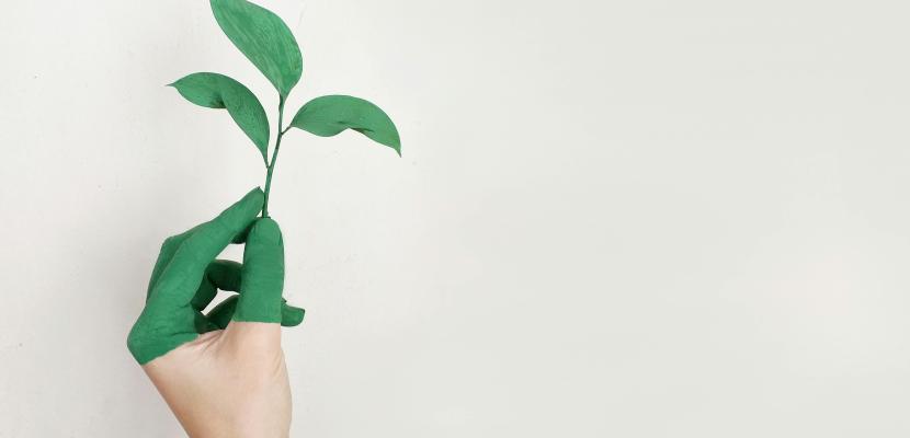 Desice - Waas Circulair Root with leaves and hand dipped in green paint