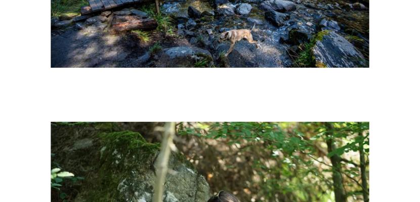 in the first image, we have a group of tourists in the Fagaras Mountains,     in the second image, we have the markings set on the route.