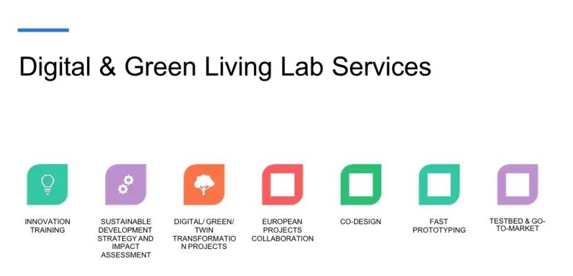 Services Range of services