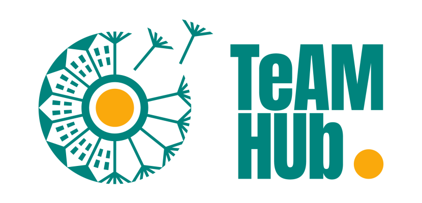 TeAM HUb logo