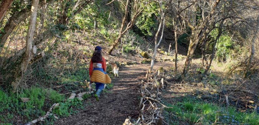 Girl walking a dog down a path with dead hedges either side