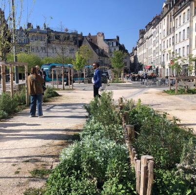 City main square, tramway, green plants and trees
