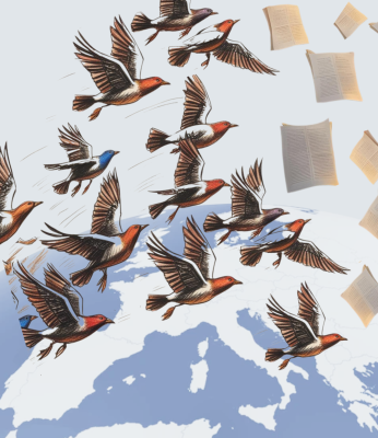 Interreg Europe EUM Power image depicting birds flying over the European continent