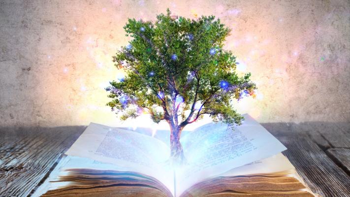 The tree symbolizes growth, the book represents knowledge, and the circuit-shaped roots stand for digital tools.