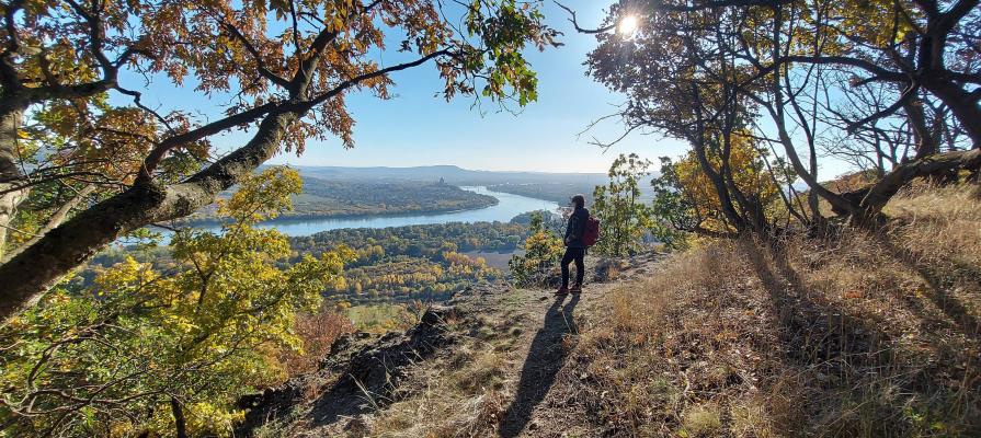 Beautiful views of a natural landscape, with vegetation and a river.