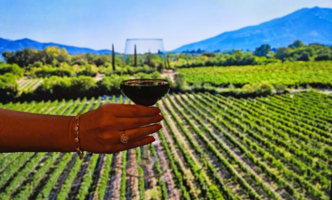 Vineyards in West Macedonia Region, Greece, with glass of red wine