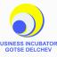 Business Incubator - Gotse Delchev /logo