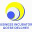 Visit us at www.bi-gd.org Business Incubator - Gotse Delchev /logo