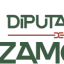 Diputacion de Zamora logo