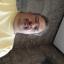 Profile picture for user lserra@cm-viana-castelo.pt