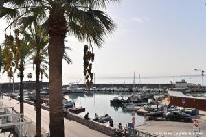 Small harbor with palm trees