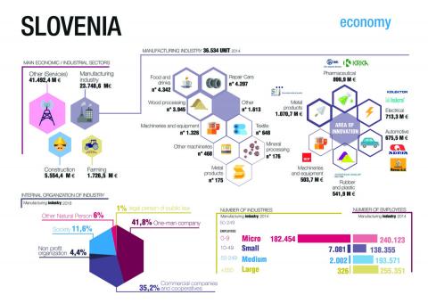 Figure of the holistic diagnosis for Slovenia