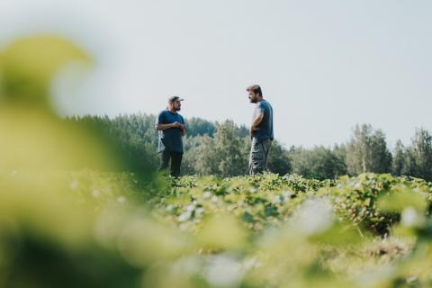 Two farmers standing in a green field 
