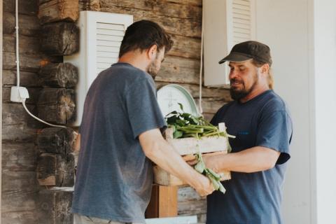 Two men holding together a basket of fresh farm produce Two men holding together a basket of fresh farm produce