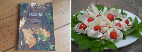 Cooking book and natural food Cooking book and natural food