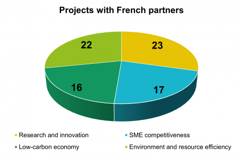 Projects with French partners by topics