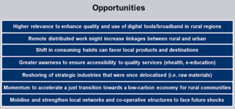 Figure on opportunities from the COVID-19 crisis for rural areas and linkages
