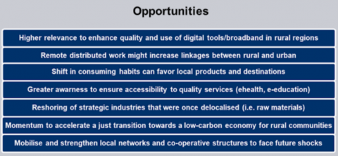 Figure on opportunities from the COVID-19 crisis for rural areas and linkages Figure on opportunities from the COVID-19 crisis for rural areas and linkages