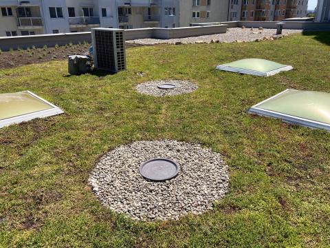 Green roof promoting biodiversity