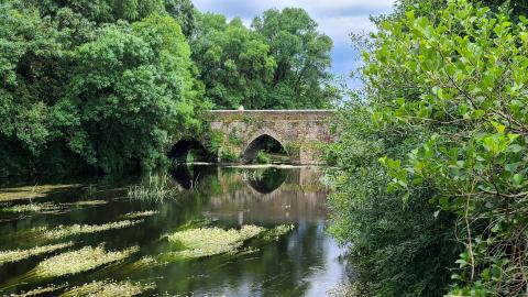 Image of the Study Visit - River Image of the Study Visit - River