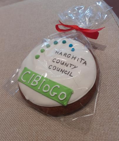Cibiogo - 2° Peer review visit Biscuit