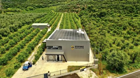 Lemon farm and lemon packing unit Lemon farm and Lemon packing unit