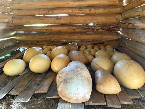 local producers' fair