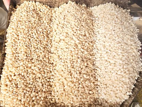 Rice of Calasparra Rice of Calasparra