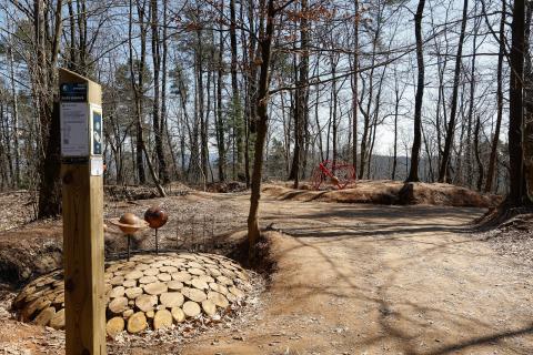 Forest Planetarium Forest Planetarium