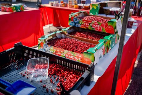 Lingonberries Lingonberries