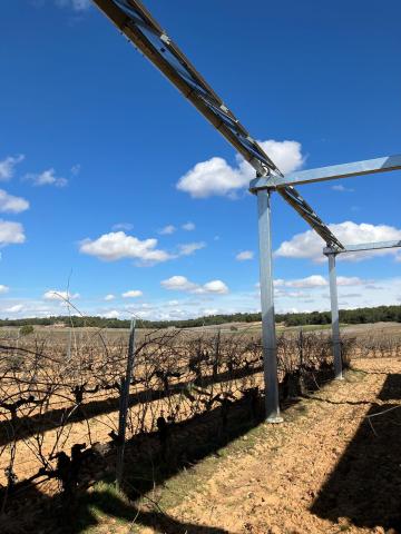The shading of the photovoltaic panels over the vineyard rows