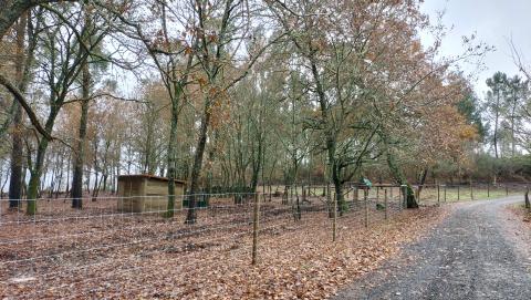 Animal control fence Investments in fencing, to limit the movement of animals