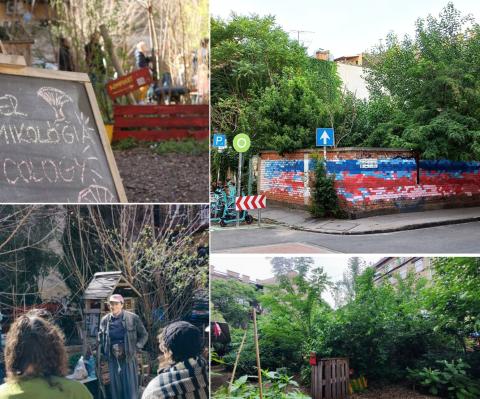 The image shows a small urban garden with dense greenery, including trees and shrubs, in an enclosed area. There are also people engaged in what seems to be a guided tour or discussion within the garden.