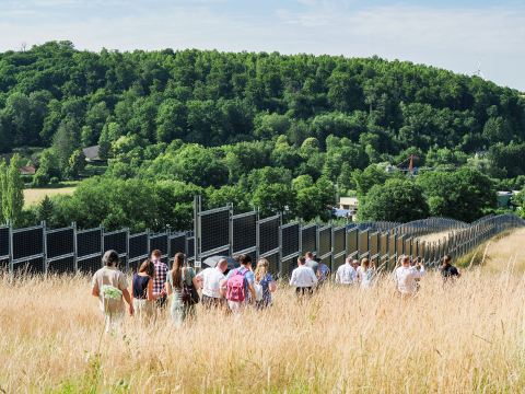 BiodIvErSe consortium visiting the agri-pv site in Dirmingen