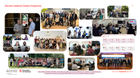 Catalan Cluster Programme