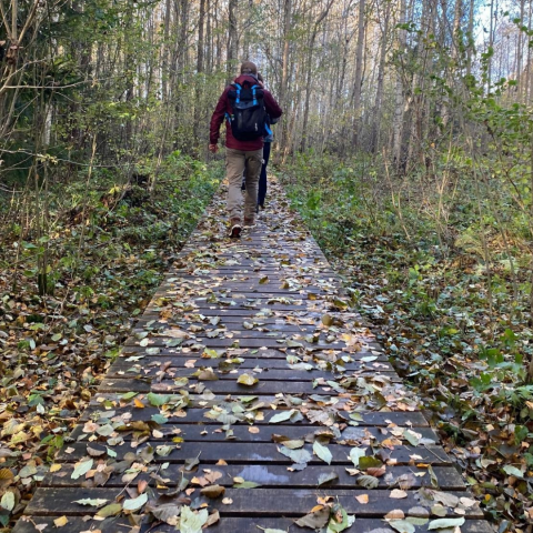 I see a forest and a man walking on a wooden road