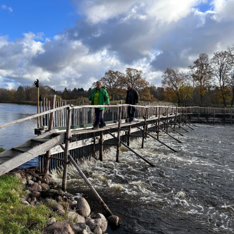 I see a bridge on river