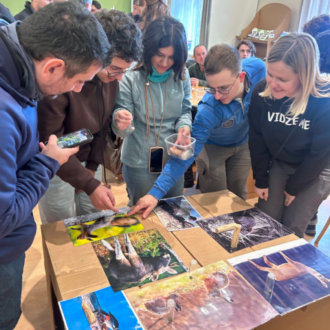 I see many people touching and looking at printed photos
