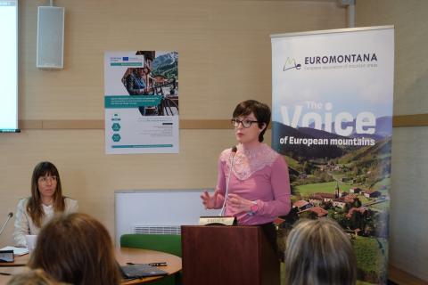 The project coordinator gives a presentation 