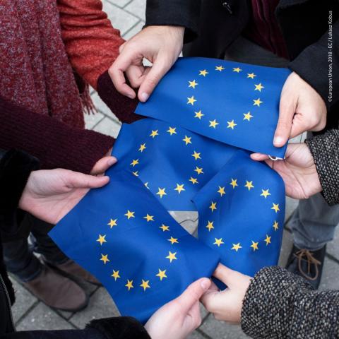 EU flags held in people's hands