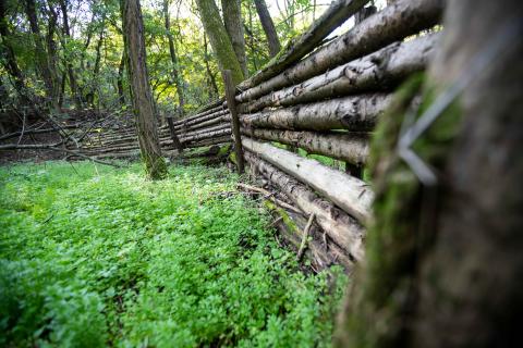 Flood control by deceleration and water retention in Püspökszilágy. Photographer: Levente Bak
