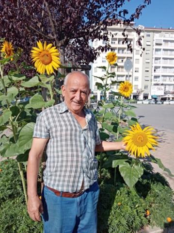 A volunteer in Santa Rita Square Growing flowers in public squares